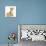 Ginger Kitten, 7 Weeks, and Baby Sandy Lop Rabbit-Mark Taylor-Stretched Canvas displayed on a wall