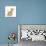 Ginger Kitten, 7 Weeks, and Baby Sandy Lop Rabbit-Mark Taylor-Stretched Canvas displayed on a wall