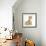 Ginger Kitten, 7 Weeks, and Baby Sandy Lop Rabbit-Mark Taylor-Framed Photographic Print displayed on a wall