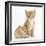 Ginger Kitten, 7 Weeks, and Baby Sandy Lop Rabbit-Mark Taylor-Framed Photographic Print