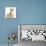 Ginger Kitten, 7 Weeks, and Baby Sandy Lop Rabbit-Mark Taylor-Mounted Photographic Print displayed on a wall