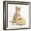 Ginger Kitten, 7 Weeks, and Yellow Guinea Pig-Mark Taylor-Framed Photographic Print