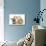 Ginger Kitten, 7 Weeks, Sitting Between Two Young Lionhead-Lop Rabbits-Mark Taylor-Photographic Print displayed on a wall