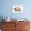 Ginger Kitten, 7 Weeks, Sitting Between Two Young Lionhead-Lop Rabbits-Mark Taylor-Framed Photographic Print displayed on a wall