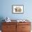 Ginger Kitten, 7 Weeks, Sitting Between Two Young Lionhead-Lop Rabbits-Mark Taylor-Framed Photographic Print displayed on a wall