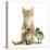 Ginger Kitten and Mallard Ducklings-Mark Taylor-Stretched Canvas