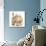 Ginger Kitten 'Funnel-Grooming'-Mark Taylor-Photographic Print displayed on a wall