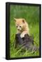 Essential Black
