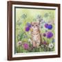 Ginger Kitten in Flowers-Janet Pidoux-Framed Giclee Print