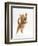 Ginger Kitten Leaping in to the Air-Mark Taylor-Framed Photographic Print