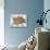 Ginger Kitten on Blue Gingham-null-Stretched Canvas displayed on a wall