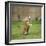 Ginger Kitten on Grass Swiping at a Soap Bubble-Mark Taylor-Framed Premium Photographic Print