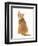 Ginger Kitten, Rear View Looking over His Shoulder-Mark Taylor-Framed Premium Photographic Print