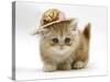 Ginger Kitten Wearing a Straw Hat-Mark Taylor-Stretched Canvas