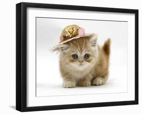 Ginger Kitten Wearing a Straw Hat-Mark Taylor-Framed Photographic Print