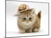 Ginger Kitten Wearing a Straw Hat-Mark Taylor-Mounted Photographic Print