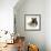 Ginger Kitten with German Shepherd Dog (Alsatian) Bitch Puppy, Echo-Mark Taylor-Framed Photographic Print displayed on a wall