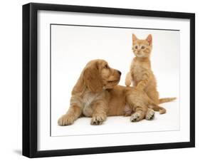 Ginger Kitten with Golden Cocker Spaniel Puppy-Jane Burton-Framed Photographic Print