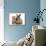 Ginger Kitten with Paw over Mouth of Lionhead-Cross Rabbit-Mark Taylor-Photographic Print displayed on a wall