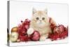 Ginger Kitten with Red Tinsel and Christmas Decorations-Mark Taylor-Stretched Canvas