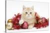 Ginger Kitten with Red Tinsel and Christmas Decorations-Mark Taylor-Stretched Canvas