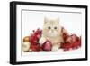 Ginger Kitten with Red Tinsel and Christmas Decorations-Mark Taylor-Framed Photographic Print