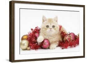 Ginger Kitten with Red Tinsel and Christmas Decorations-Mark Taylor-Framed Photographic Print