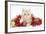 Ginger Kitten with Red Tinsel and Christmas Decorations-Mark Taylor-Framed Photographic Print