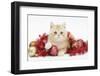 Ginger Kitten with Red Tinsel and Christmas Decorations-Mark Taylor-Framed Photographic Print