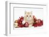 Ginger Kitten with Red Tinsel and Christmas Decorations-Mark Taylor-Framed Photographic Print