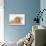 Ginger Kitten with Sandy Lionhead-Lop Rabbit-Mark Taylor-Photographic Print displayed on a wall