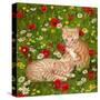 Ginger Kittens in Red Poppies-Janet Pidoux-Stretched Canvas