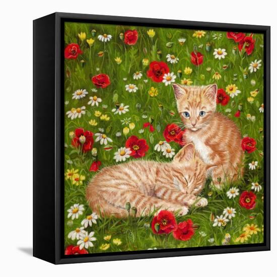 Ginger Kittens in Red Poppies-Janet Pidoux-Framed Stretched Canvas