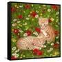 Ginger Kittens in Red Poppies-Janet Pidoux-Framed Stretched Canvas