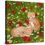 Ginger Kittens in Red Poppies-Janet Pidoux-Stretched Canvas