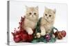 Ginger Kittens with Tinsel and Christmas Decorations-Mark Taylor-Stretched Canvas