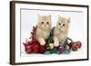 Ginger Kittens with Tinsel and Christmas Decorations-Mark Taylor-Framed Photographic Print