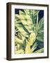 Ginger Leaves-Ashley Davis-Framed Art Print