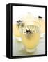 Ginger Limeade with Star Anise-Chris Alack-Framed Stretched Canvas