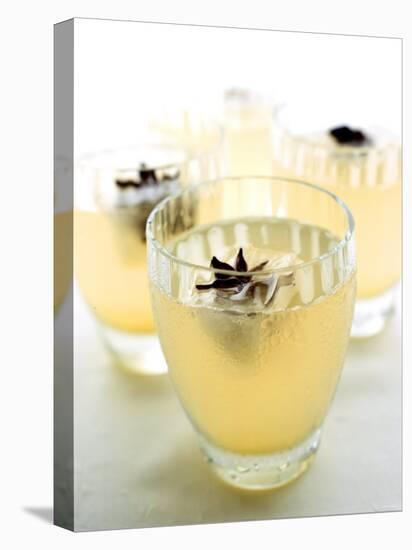 Ginger Limeade with Star Anise-Chris Alack-Stretched Canvas