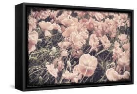 Ginger Poppies-Mindy Sommers-Framed Stretched Canvas