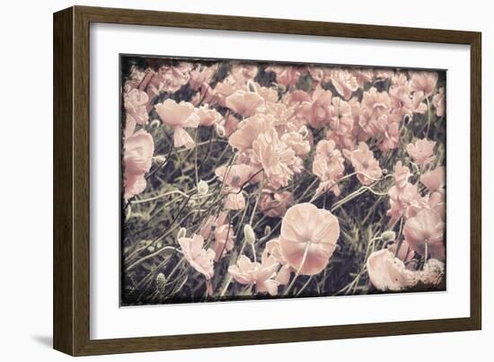 Ginger Poppies-Mindy Sommers-Framed Giclee Print