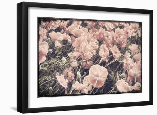 Ginger Poppies-Mindy Sommers-Framed Giclee Print