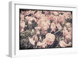 Ginger Poppies-Mindy Sommers-Framed Giclee Print