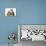 Ginger Rabbit and Maine Coon-Cross Kitten, 7 Weeks-Mark Taylor-Mounted Photographic Print displayed on a wall