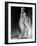Ginger Rogers, c.1930s-null-Framed Photo