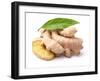 Ginger Root in Closeup-dionisvera-Framed Photographic Print