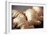 Ginger Root-Veronique Leplat-Framed Photographic Print