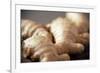 Ginger Root-Veronique Leplat-Framed Photographic Print