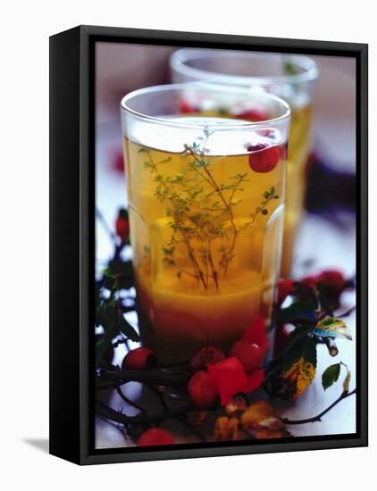 Ginger Tea with Thyme and Red Berries-Dorota & Bogdan Bialy-Framed Stretched Canvas